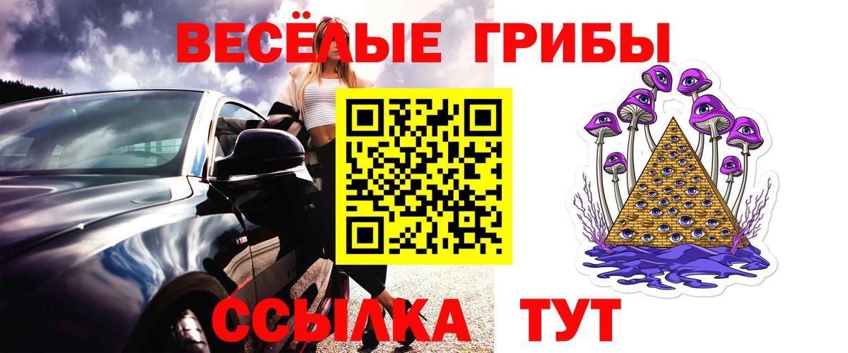 Галлюциногенные грибы MAGIC MUSHROOMS  Вход с VPN  Приморско-Ахтарск 